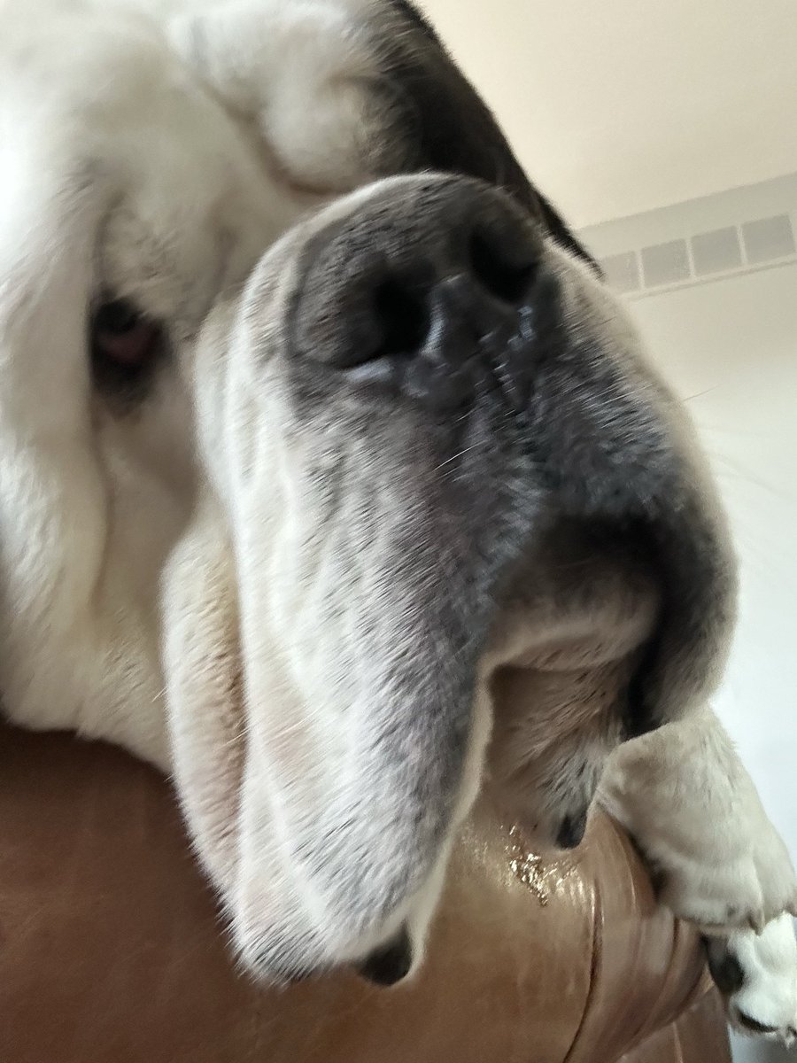 Chris Robb tweet media