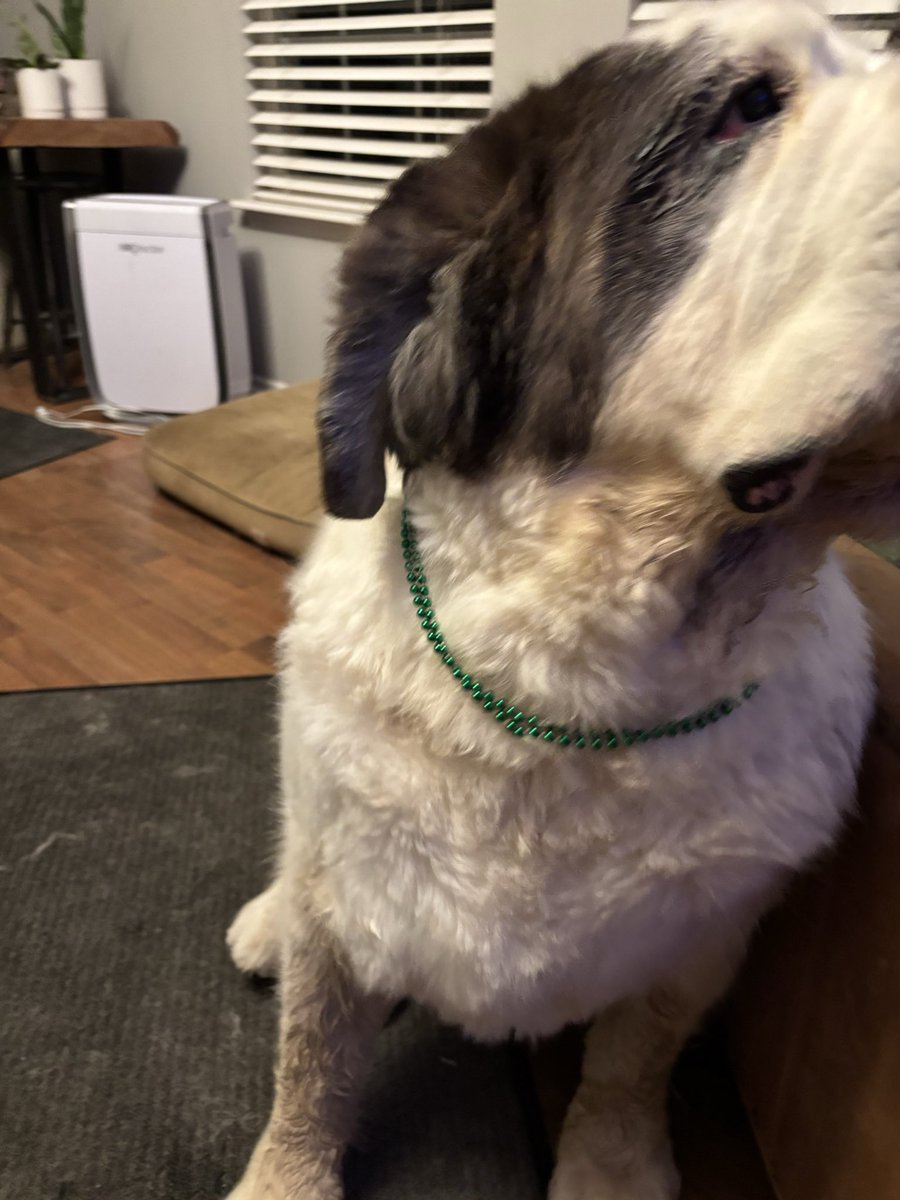 Chris Robb tweet media