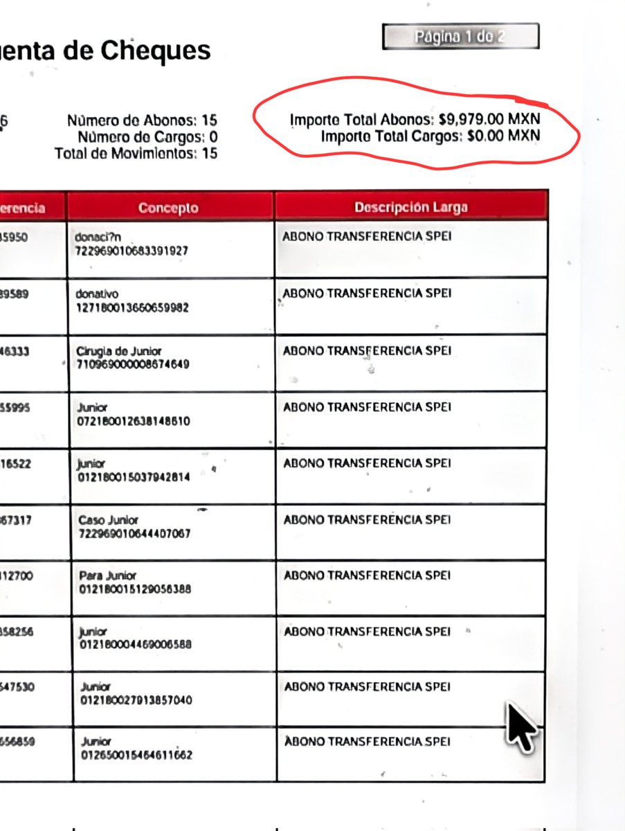 🐾🐾Gatitos a salvo🐾🐾 tweet media