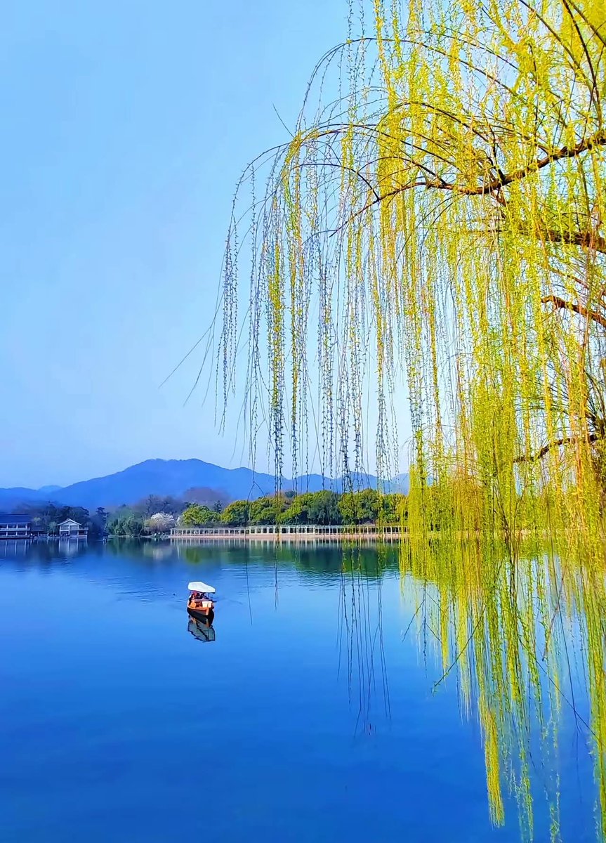 🇨🇳 大牛🇨🇳 tweet media