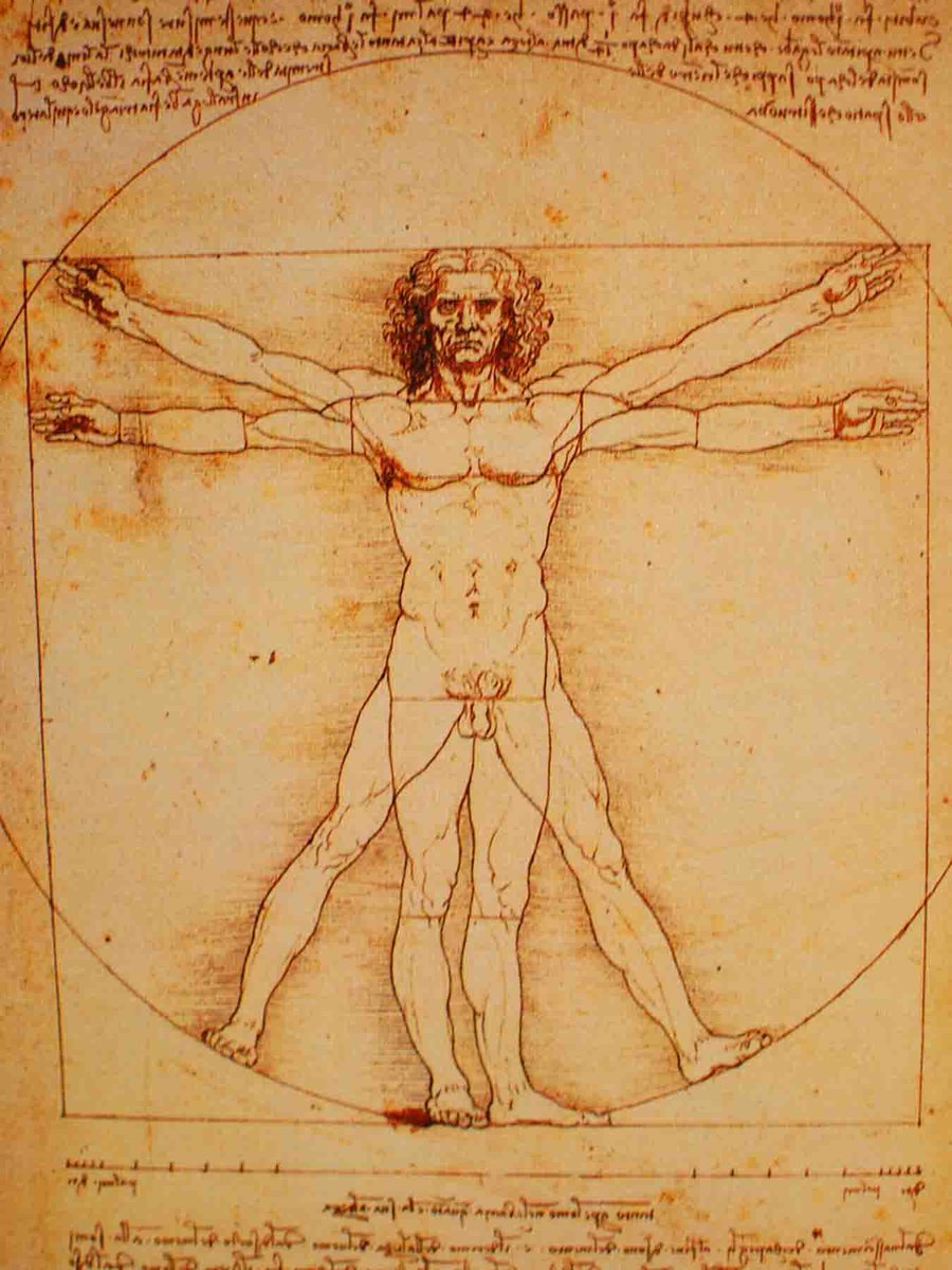 The Human Front vs AI tweet media