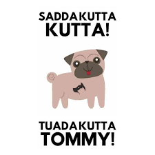 Credit Cards Pro tweet media