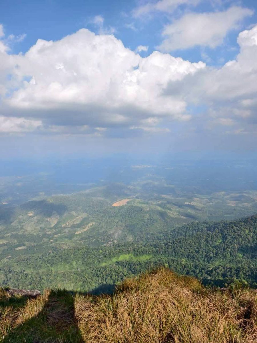 กรมอุทยานแห่งชาติ สัตว์ป่า และพันธุ์พืช tweet media