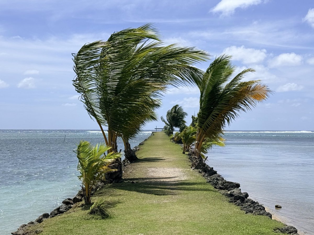 上田 哲也｜IELTS講師 tweet media