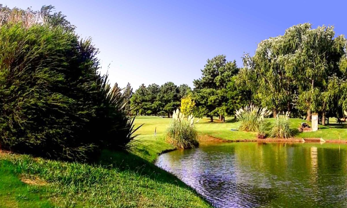 FUNDIDOS x MILEI tweet media