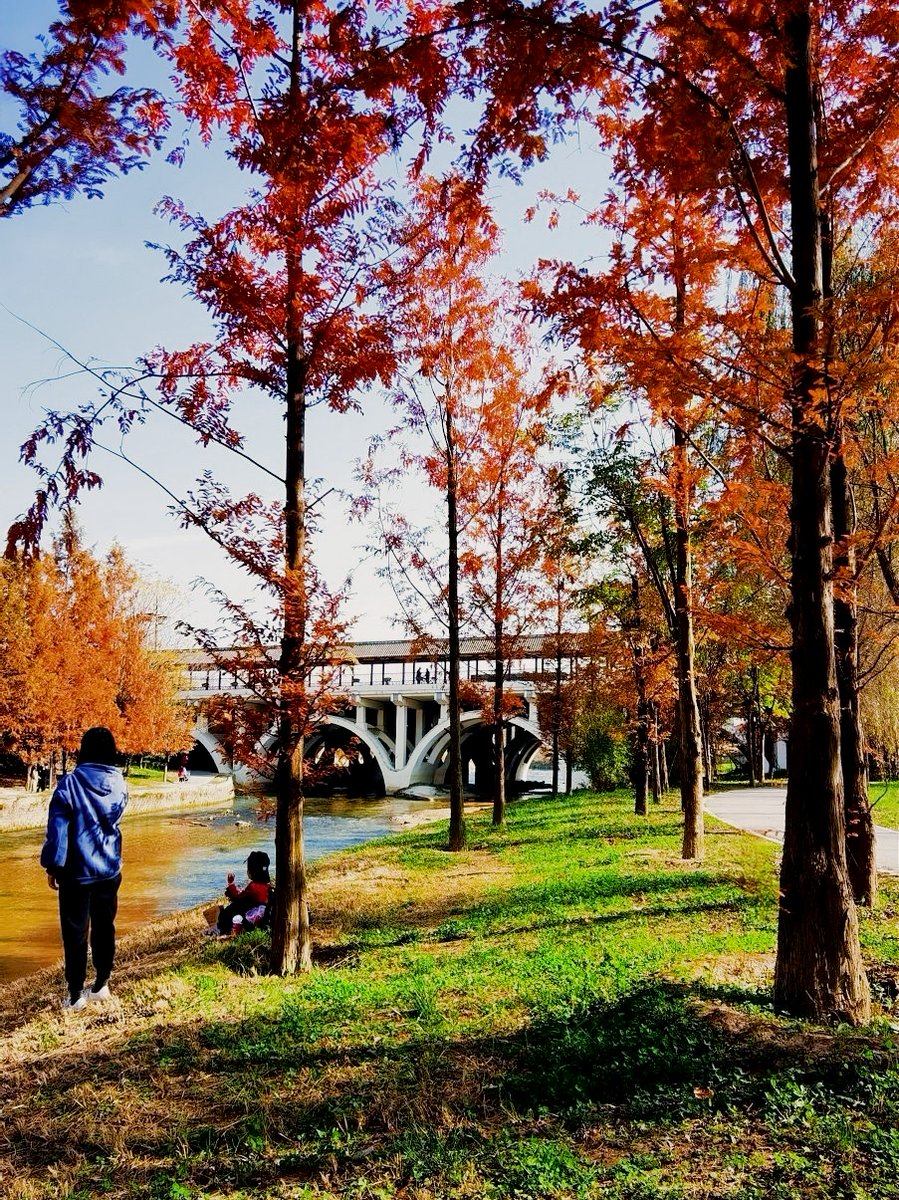 pamela burrage tweet media