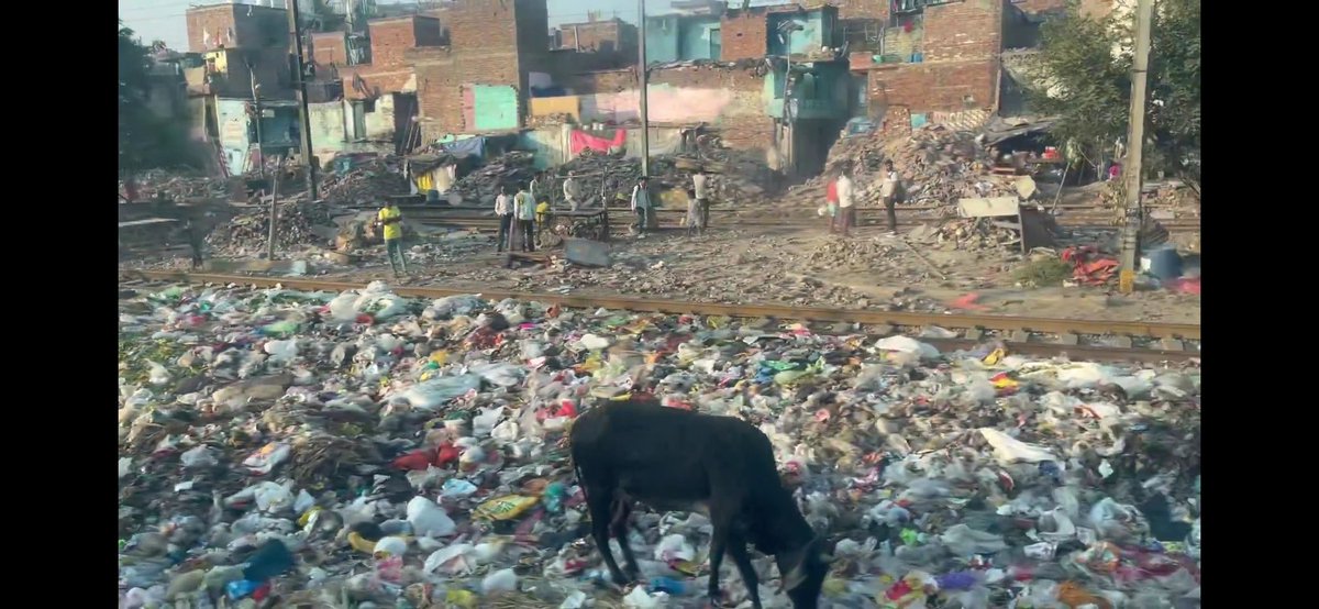 Bonerjiggler tweet media