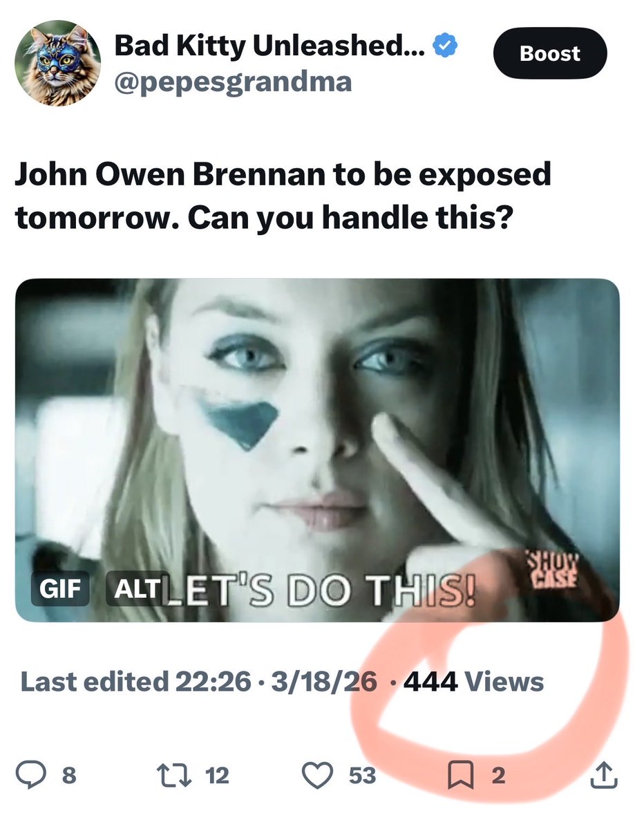 Bad Kitty Unleashed 🦁 💪🏻 tweet media