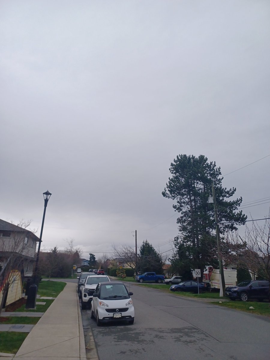 FriendlyFox tweet media