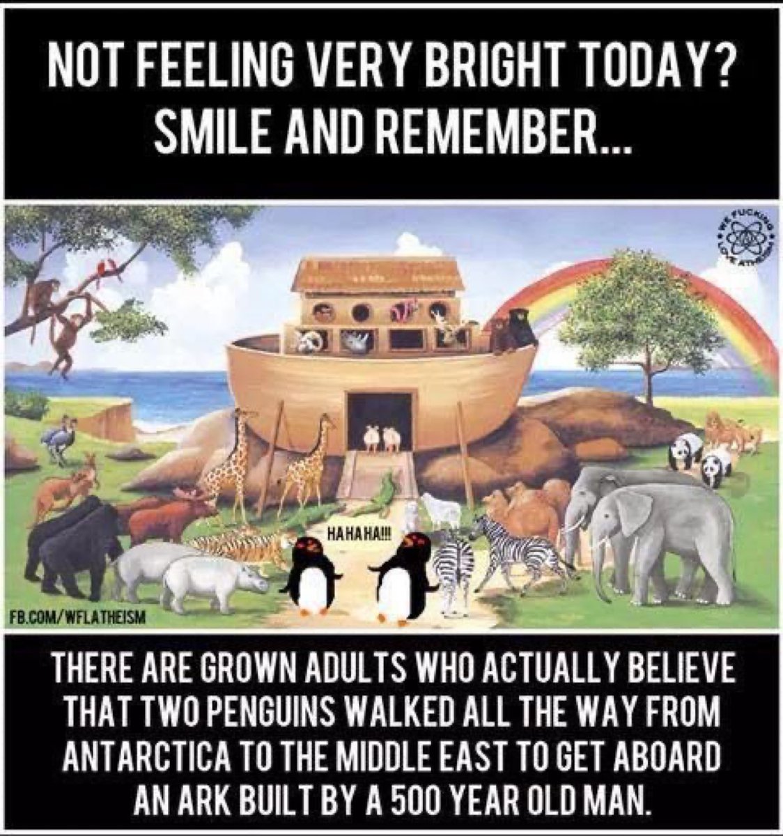 Carolyn from Maryland tweet media