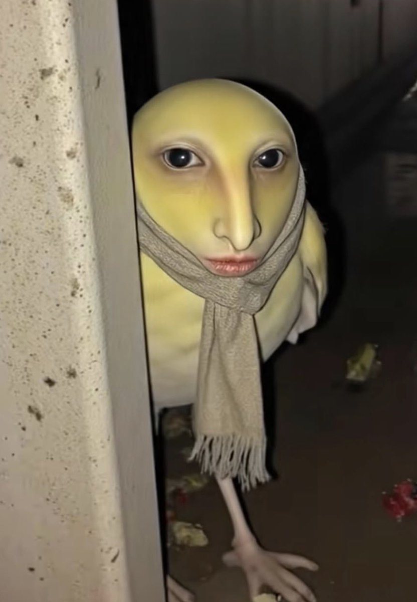 angele🇵🇹 tweet media