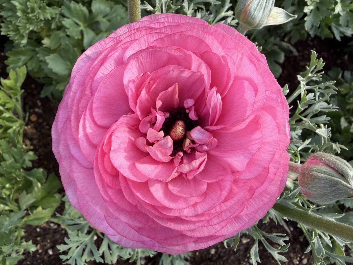 杉本崇＠気づき4/26いしおかトレイルラン tweet media