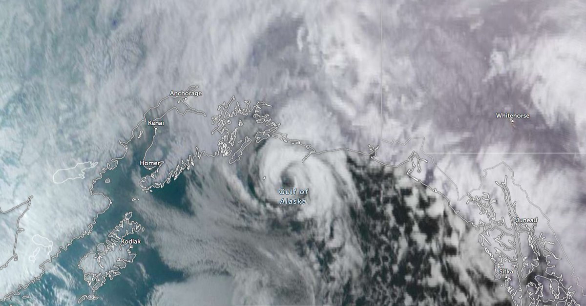 Matheus R tweet media