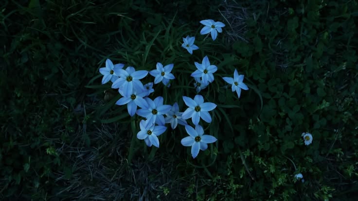 𝕰𝖑𝖊𝖒𝖒𝖎𝖗𝖊 tweet media