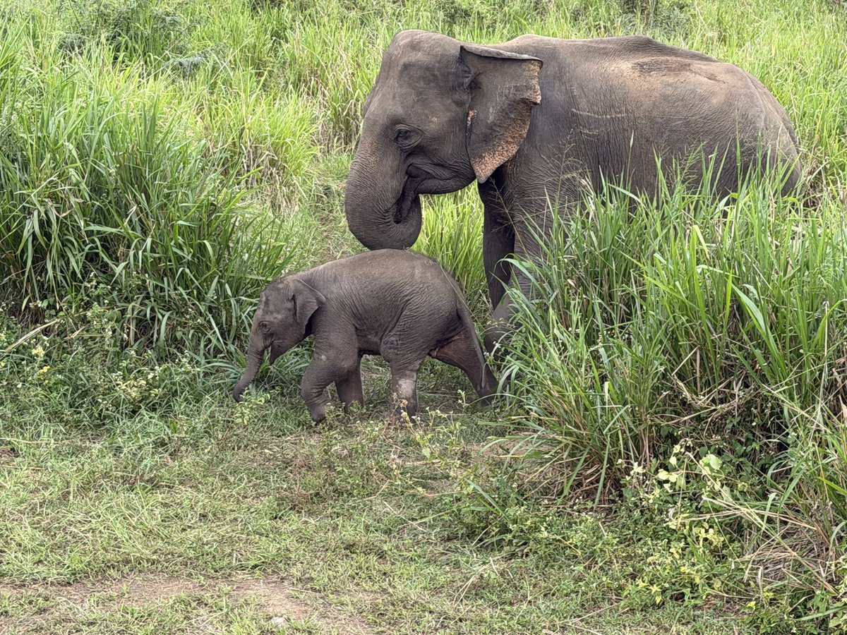 According2Taz tweet media