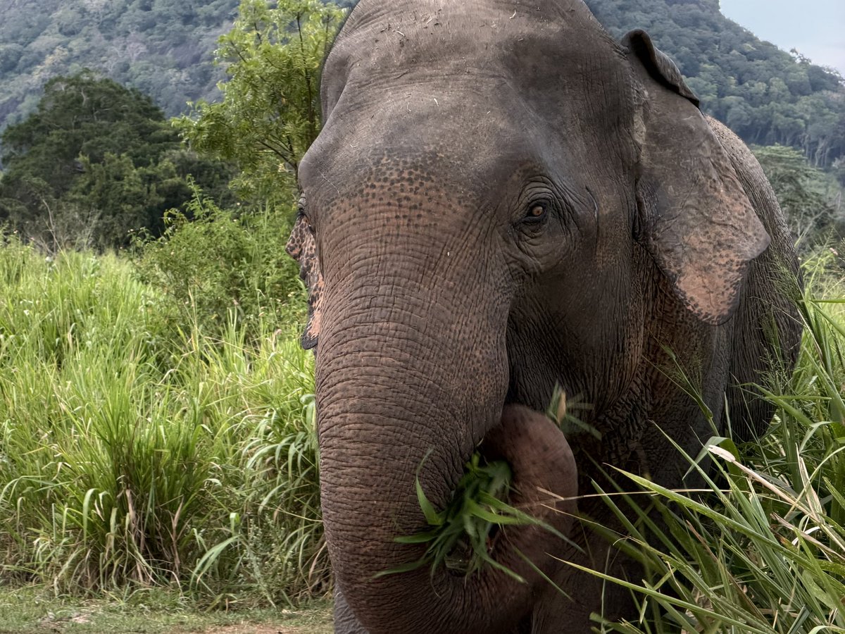 According2Taz tweet media