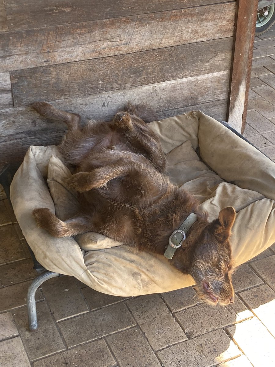 Digby Stretch tweet media