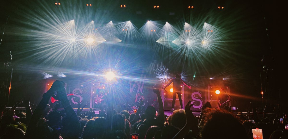 isabella tweet media