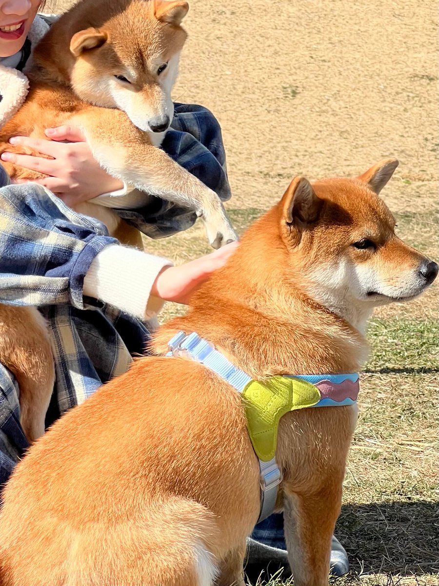 Kukuxumusu Lima tweet media