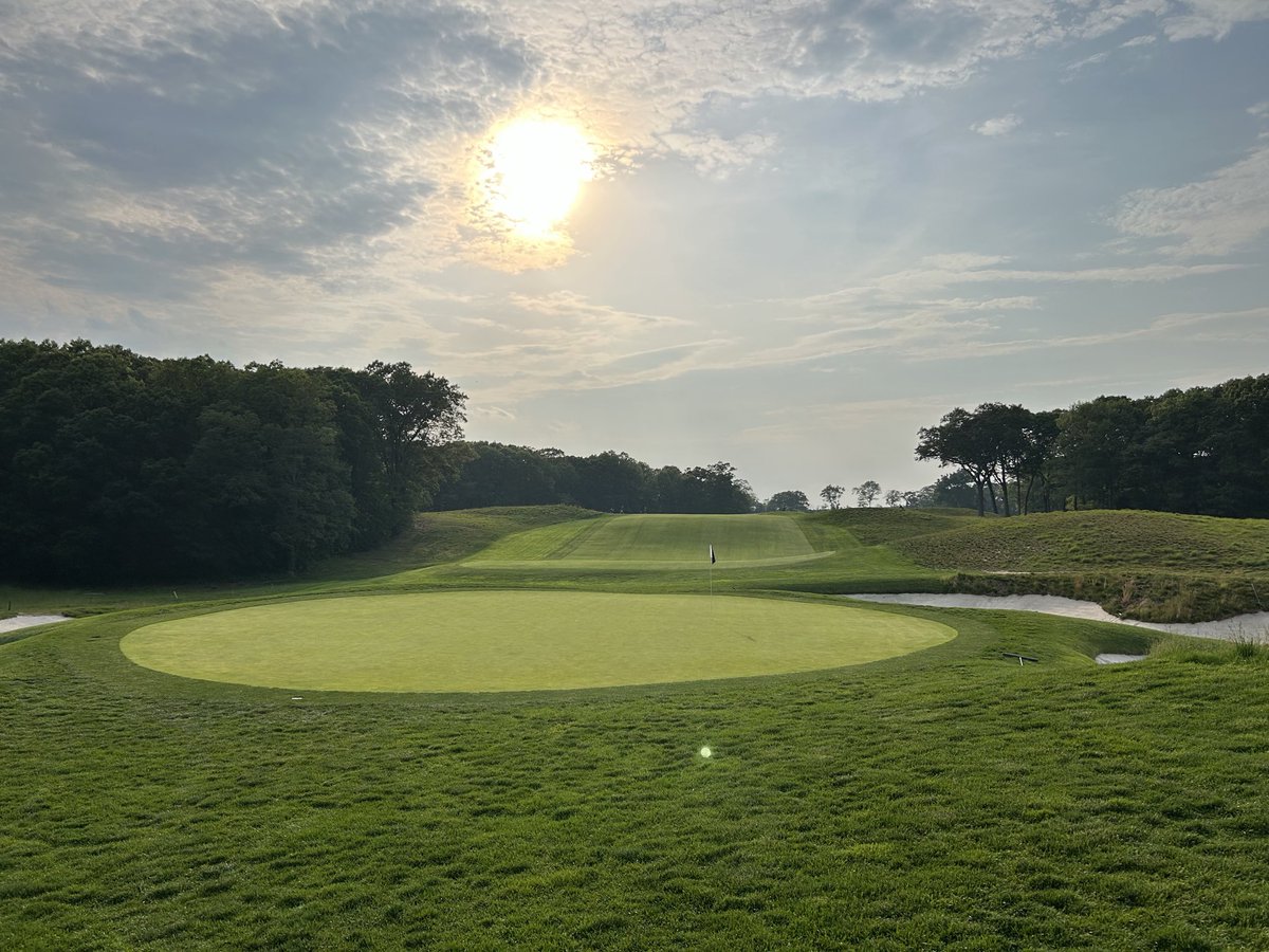 Hatless Hank tweet media