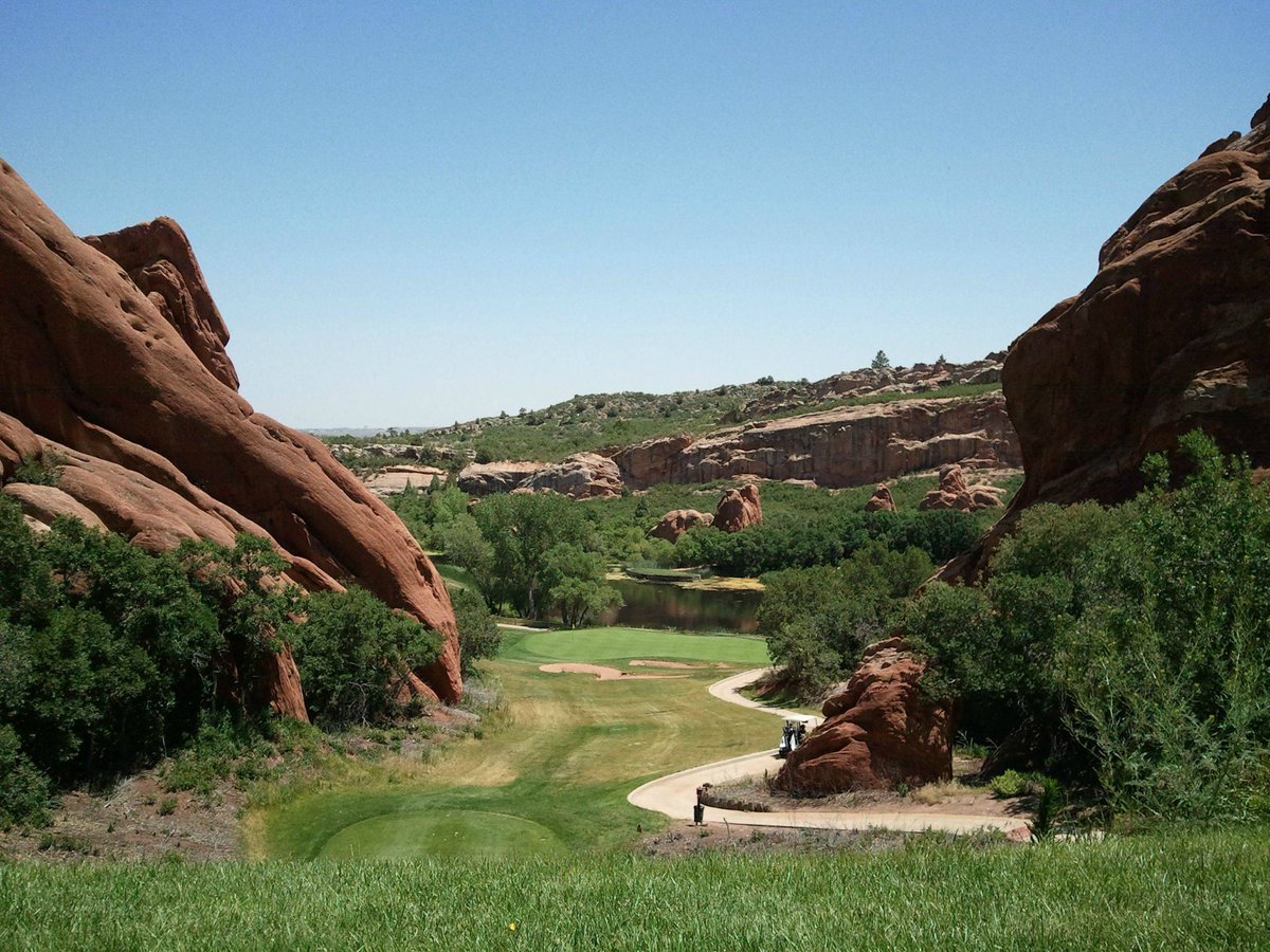 Hatless Hank tweet media