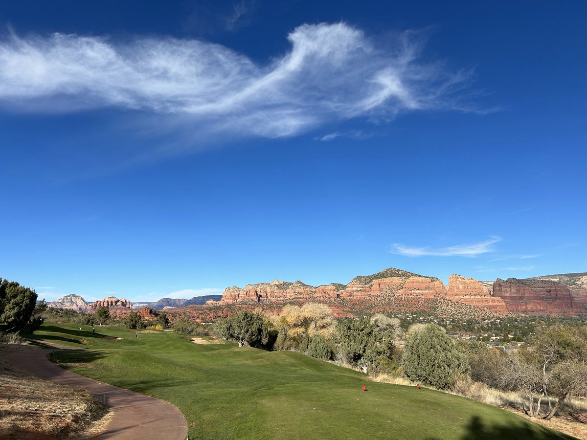 Hatless Hank tweet media