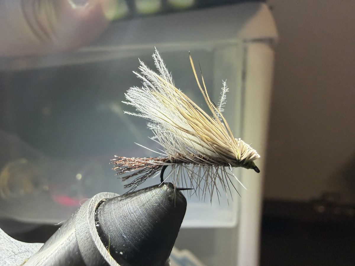 svutility's tweet photo. Little bit of vise work tonight during the first four games. #cornfedcaddis #comparadun #flytying #GoCougs #beatTU https://t.co/KY3JsGG6d8
