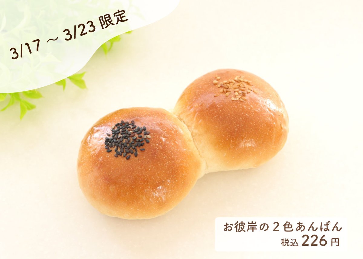 【公式】かもめテラス/かもめの玉子 tweet media