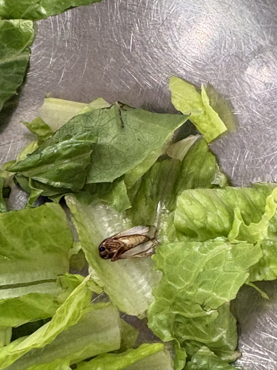 just eating my lunch at work today ❤️