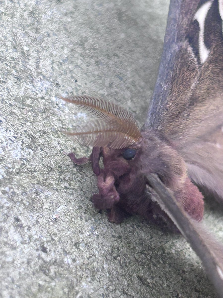 Dammit Amber tweet media