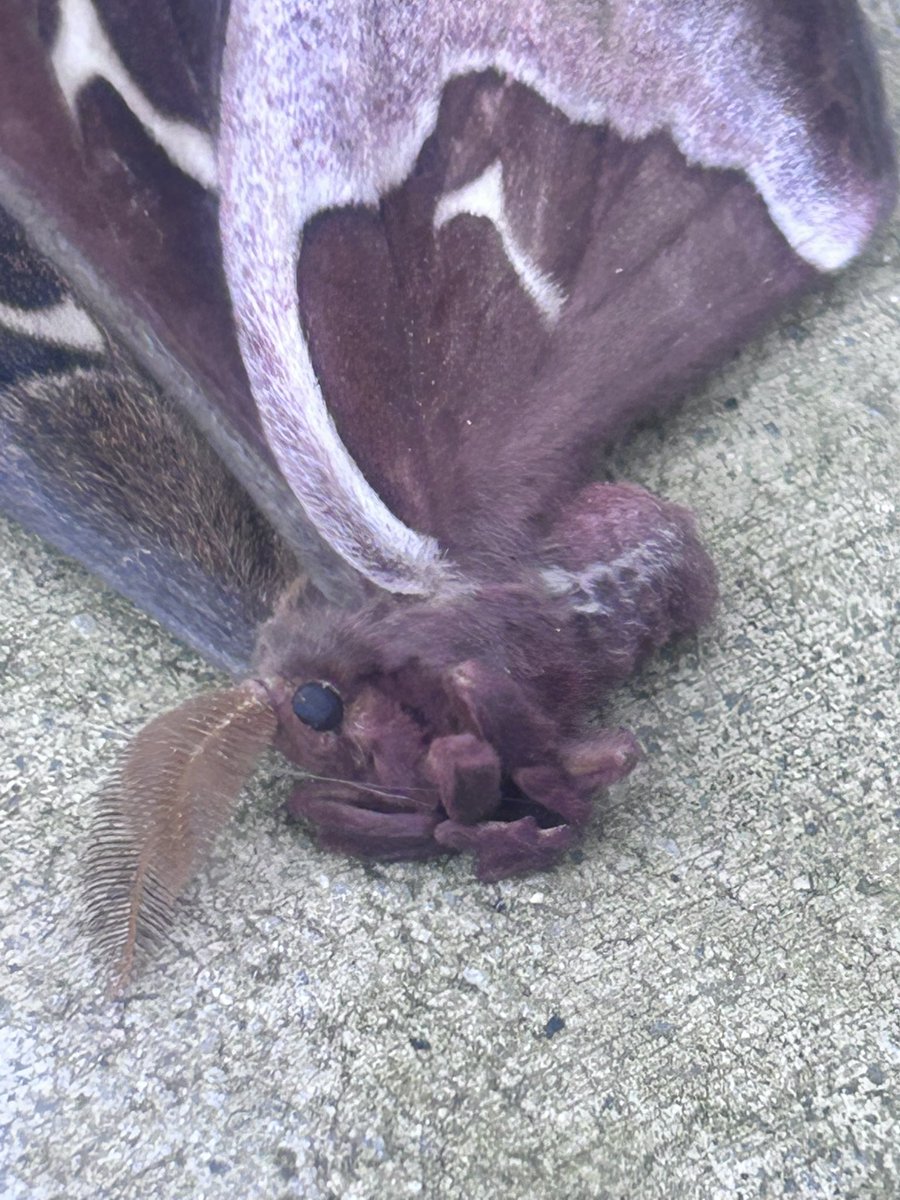 Dammit Amber tweet media