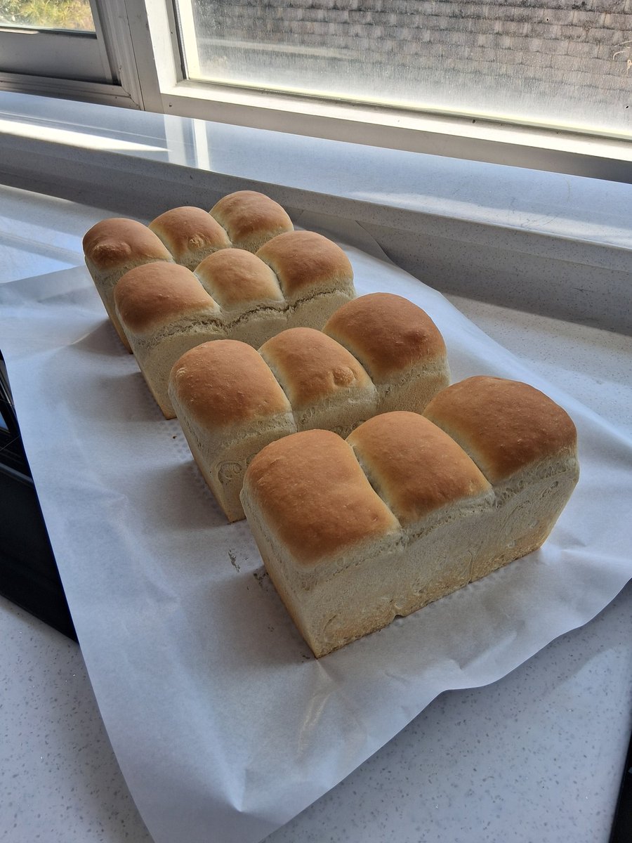 Okari_(1주일 냥체+애교체+주인님, 12/7 까지 자기야) tweet media