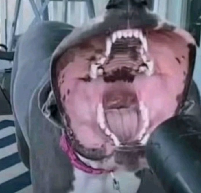 Yoru Casada tweet media