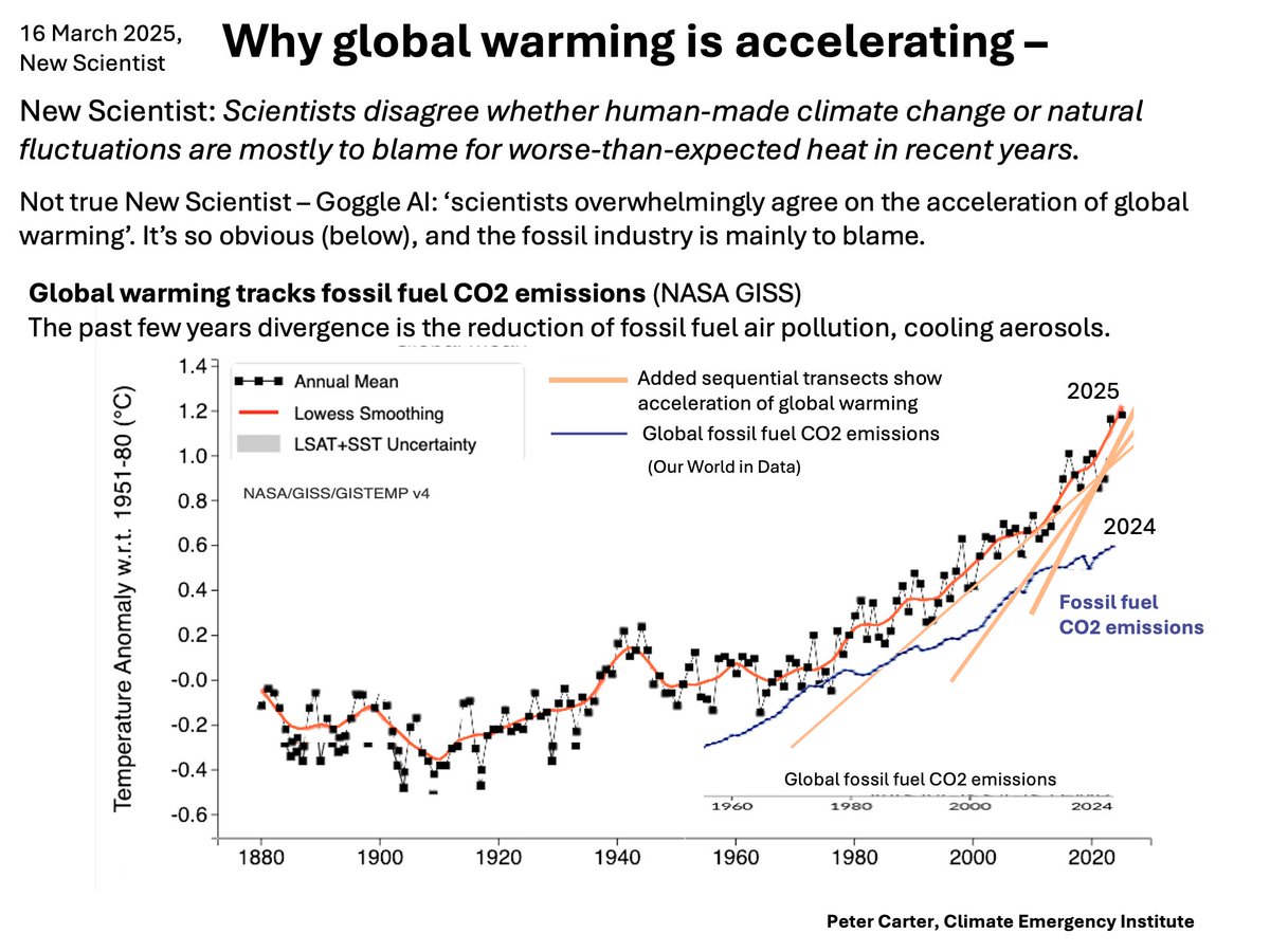 Peter D Carter tweet media