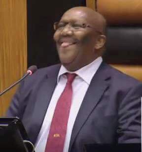 The Seed Ya MuChangane tweet media