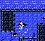 Super Mario Facts tweet media