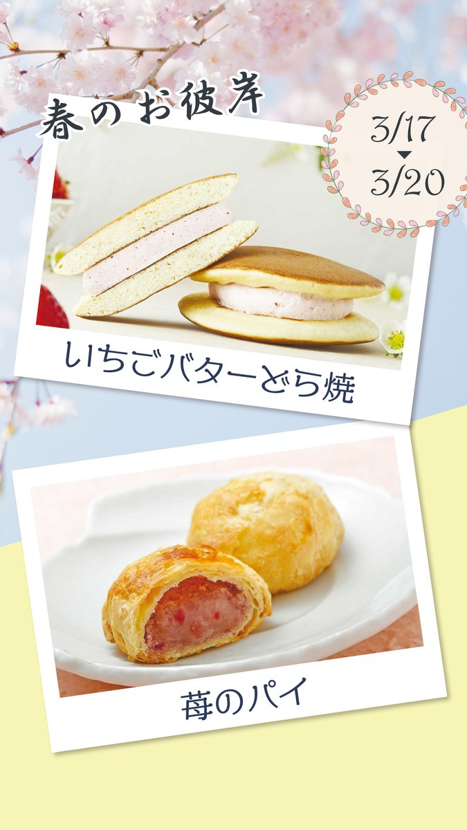 【公式】かもめテラス/かもめの玉子 tweet media