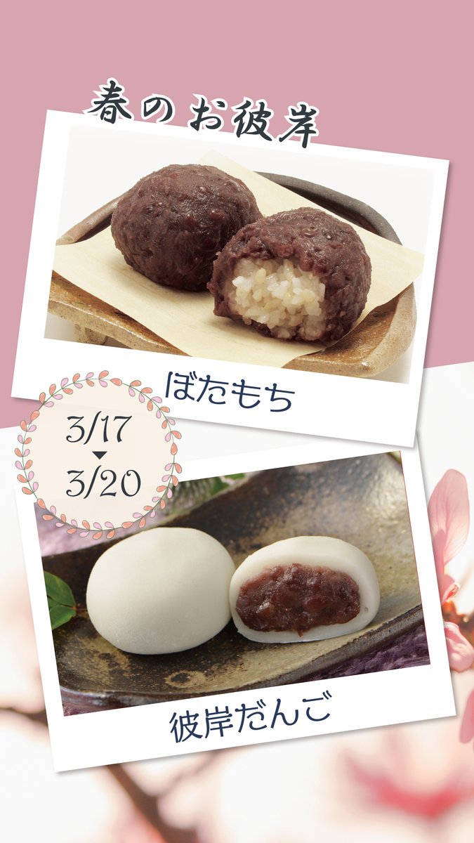 【公式】かもめテラス/かもめの玉子 tweet media