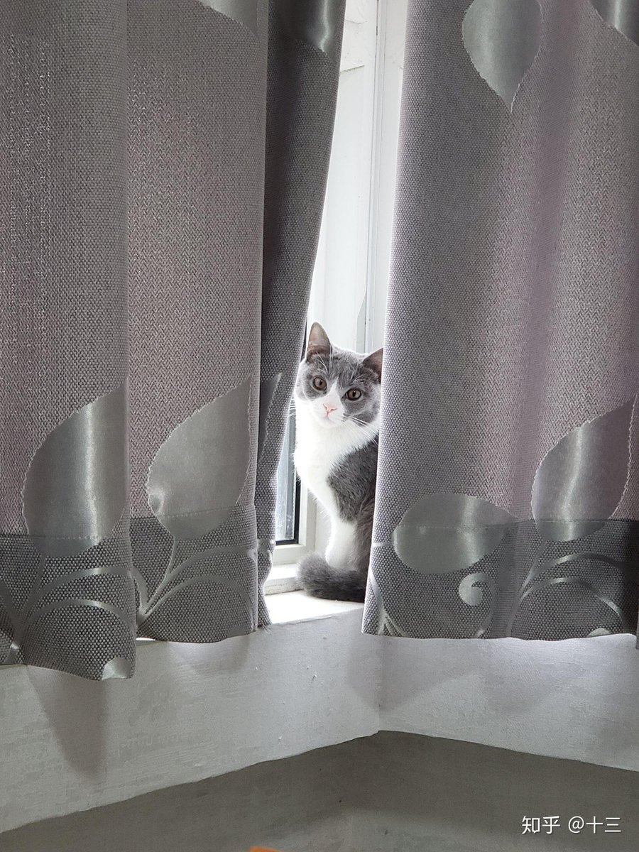 Dennis Whetsel tweet media