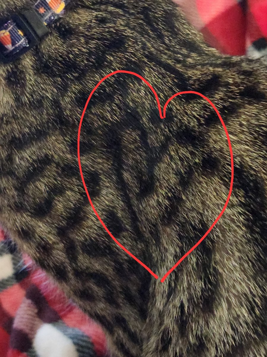 Jennifer tweet media