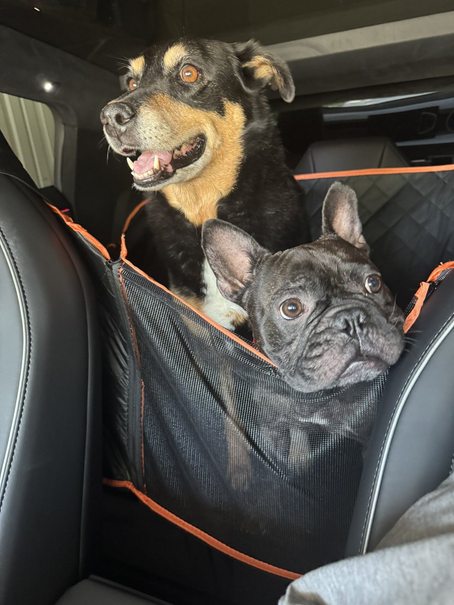 Jason aka “The Bauminater” tweet media