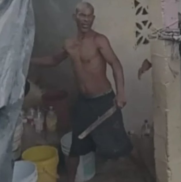 Noticias En Desarrollo tweet media