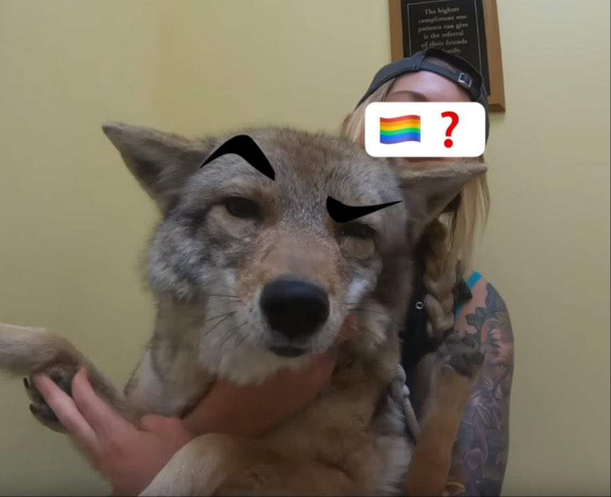 Jona Yong ♡ tweet media