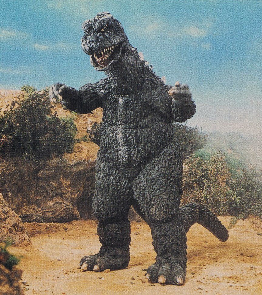 Slash the Raptor tweet media