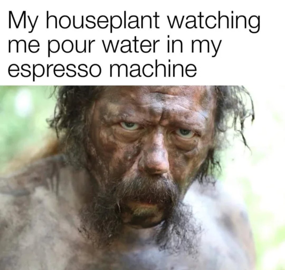 Spill The Memes tweet media