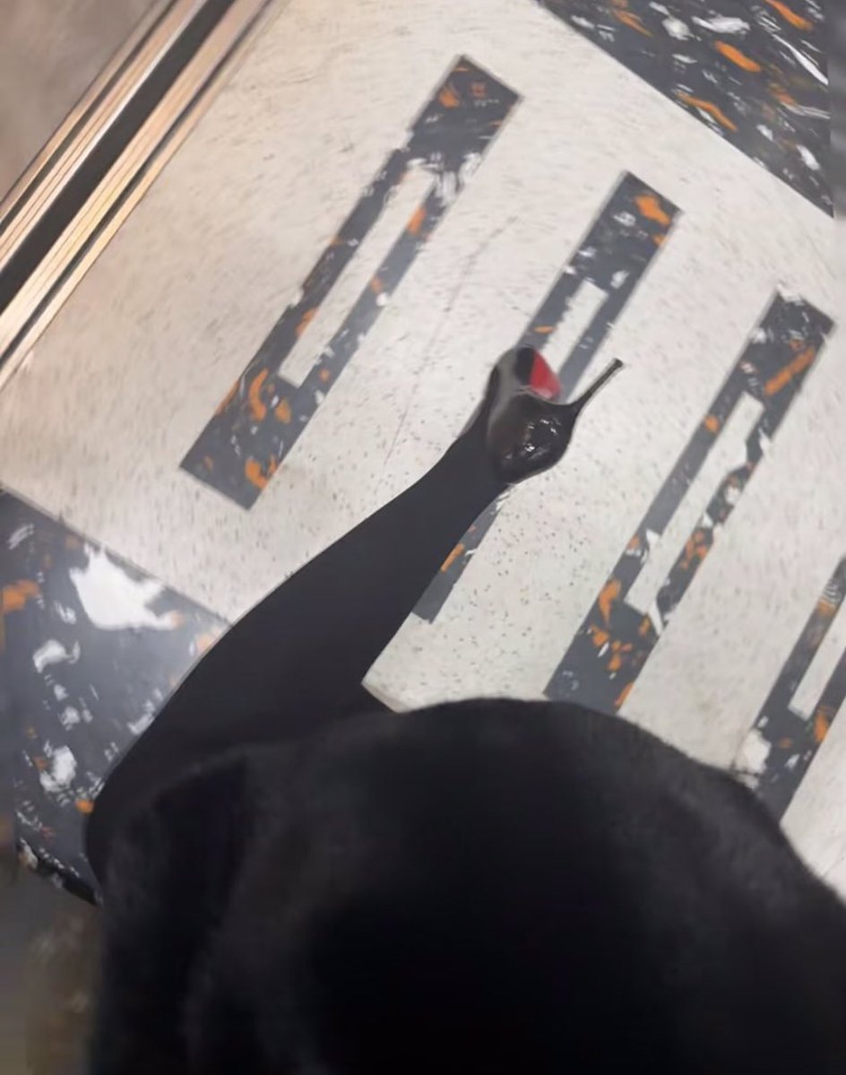 蓉蓉子 tweet media