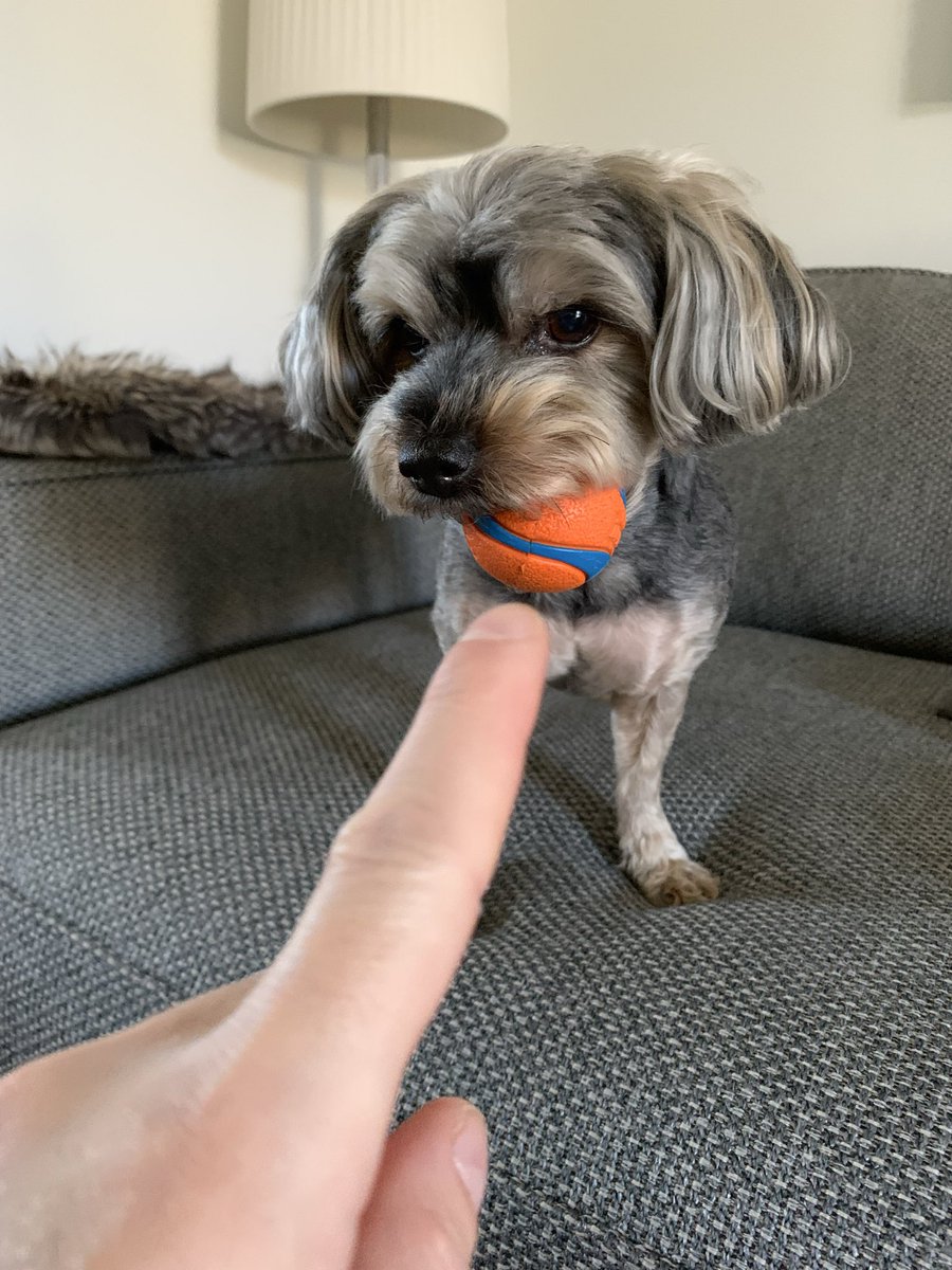 Christopher Vande Kieft tweet media