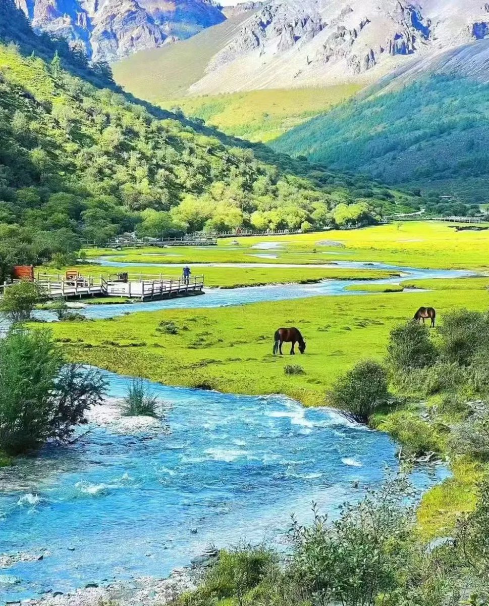 萌萌💐 tweet media