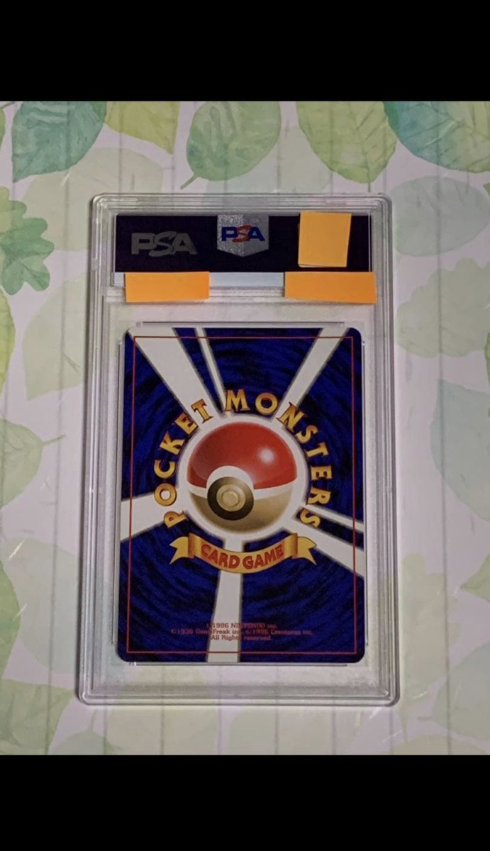 Ponyta King tweet media