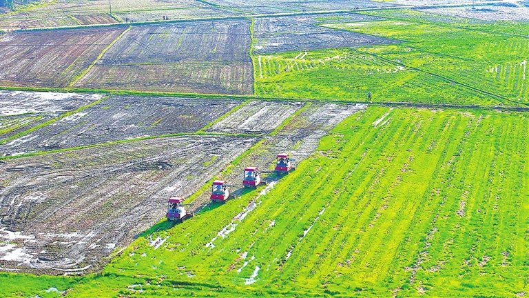 小桂之家 tweet media